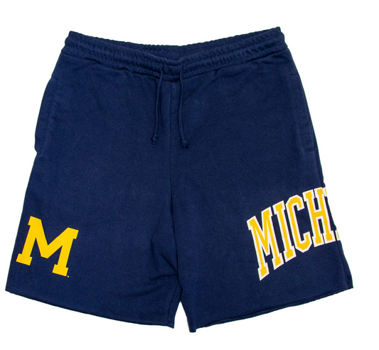 Pantalones cortos de felpa francesa Gameday de Mitchell&Ness MICHIGAN WOLVERINES azul